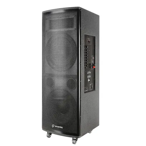 minicomponente quantic.